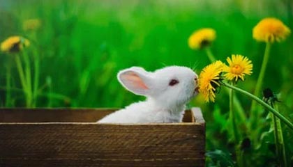 九游登录中心-黑队主帅喜获百场胜利，稳定球队领先位置，黑球门将排名