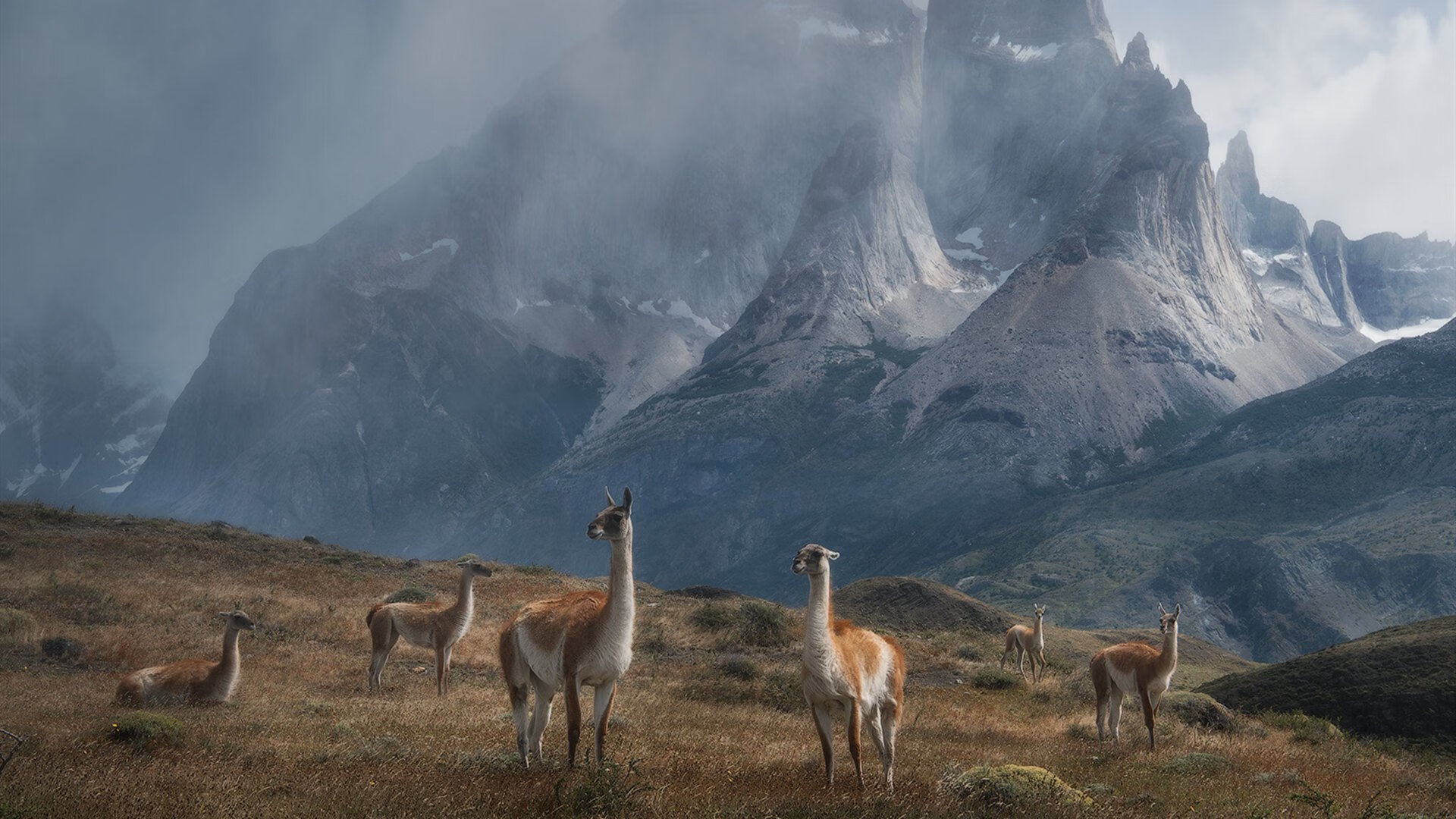 _全球极光滑雪：在光辉中驰骋_，全球极光胜地
