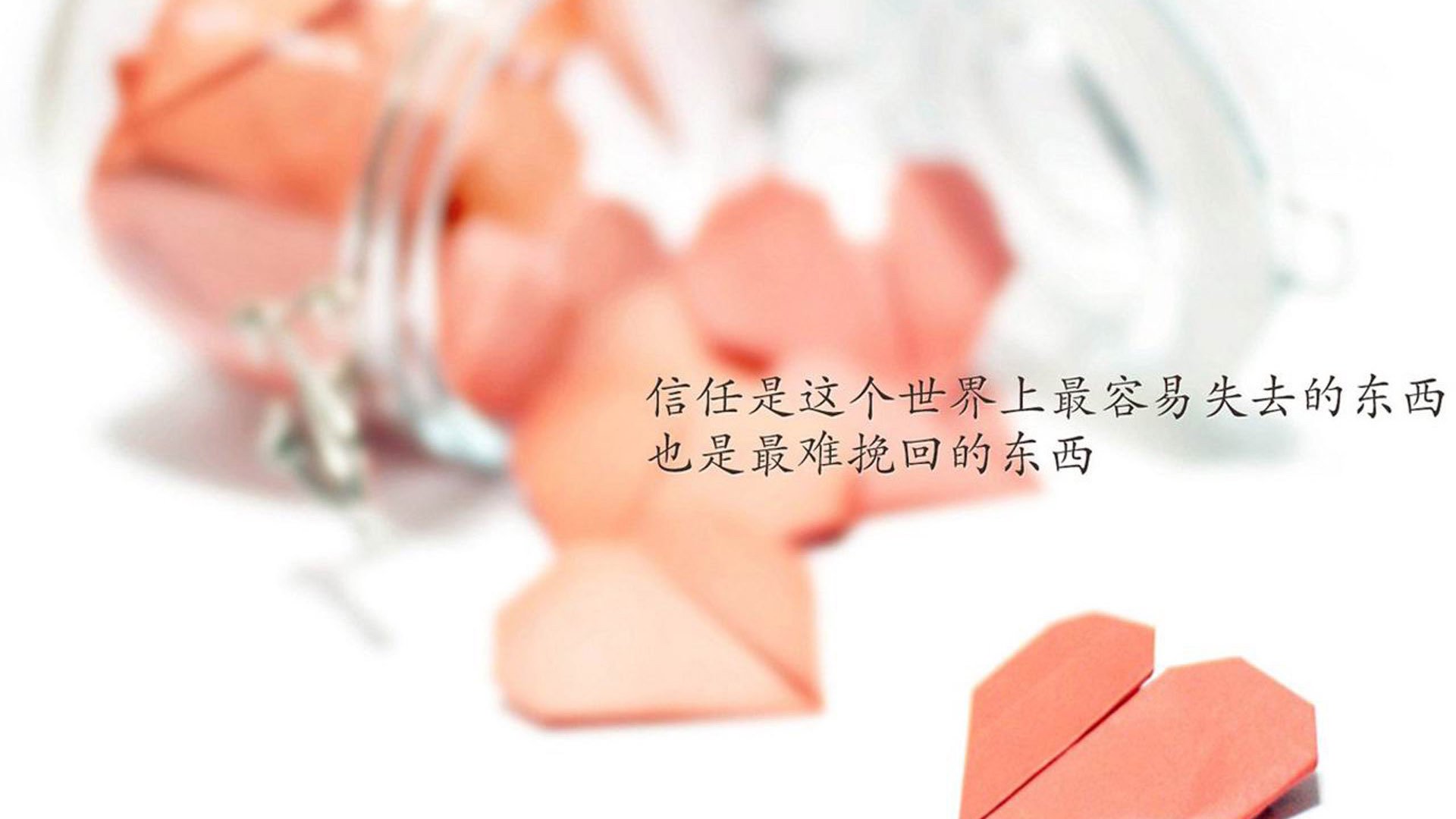 _新生代崛起，未来之星引领新潮流_，未来之星第四期