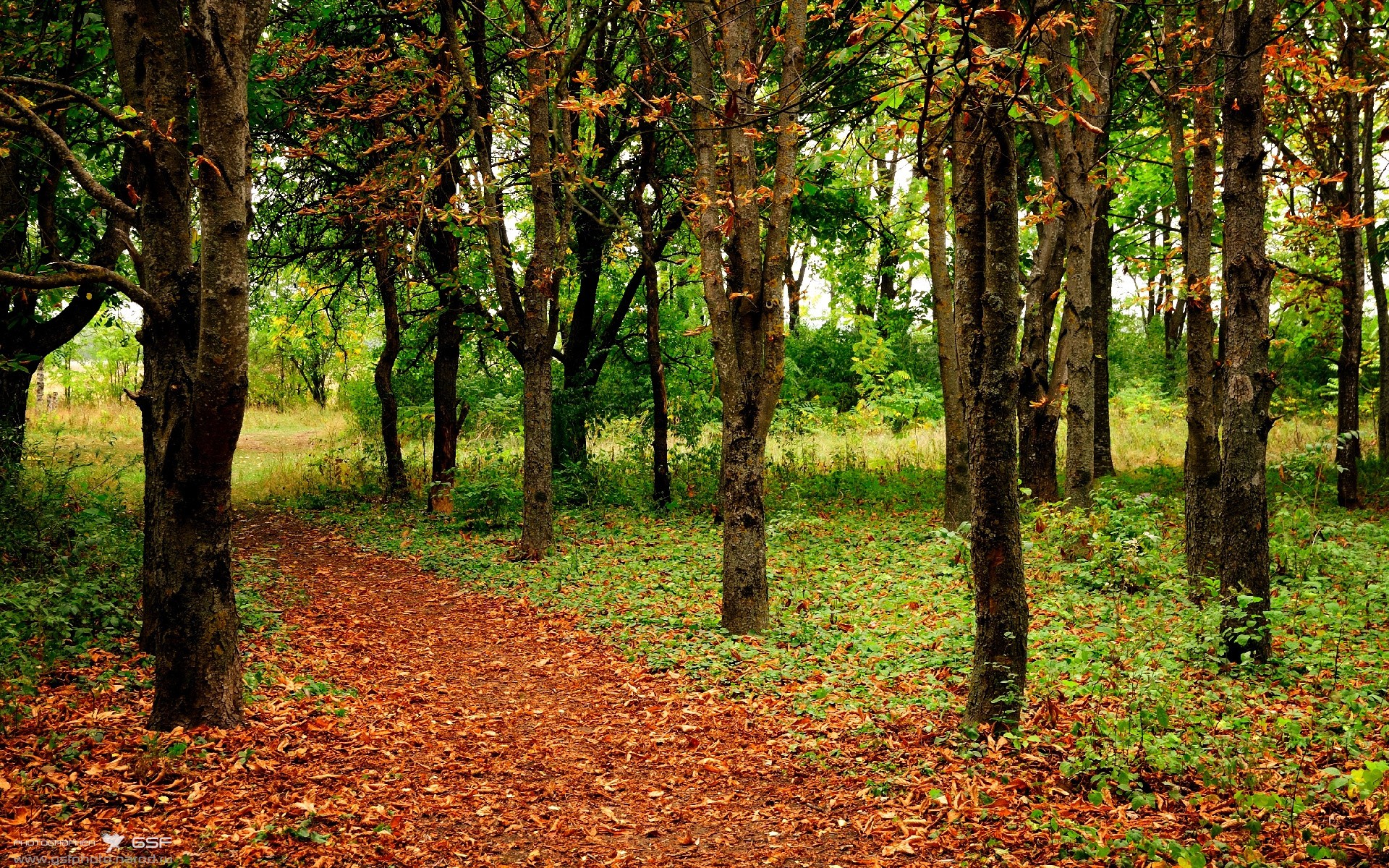 _极速跑鞋：科技革新带来运动革新_，极速跑是什么东西