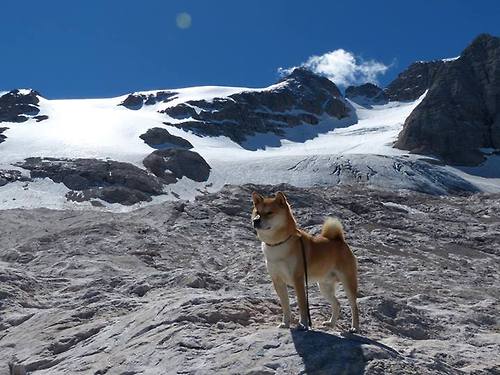 -“未来之星青少年足球巡回赛火热进行，精彩纷呈”，未来之星足球学院