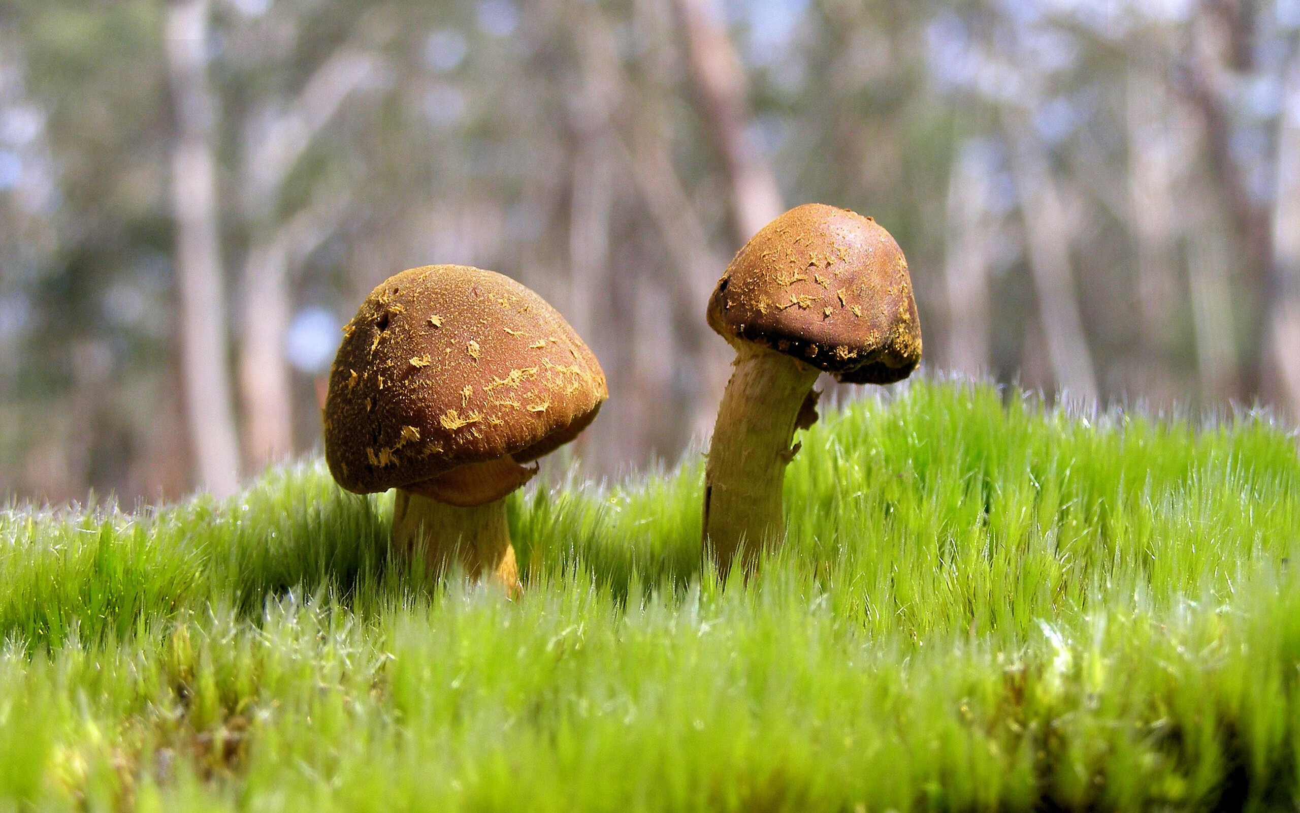 “极限速度突破：传感器引领投球表现全面升级”