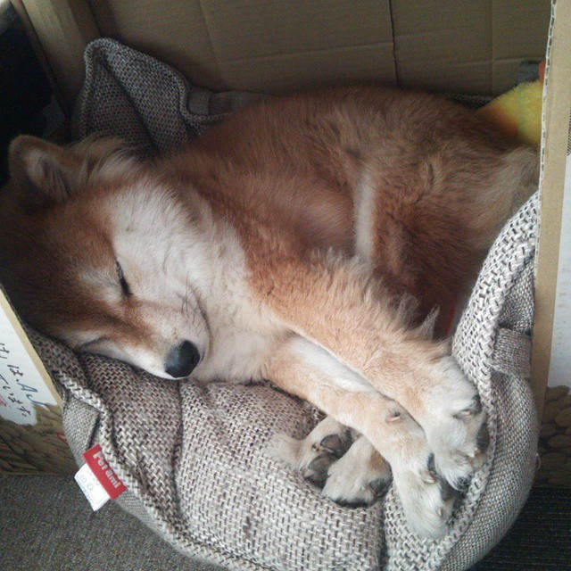 关键数据：投篮命中率46%，助攻22次！，投篮命中率100%