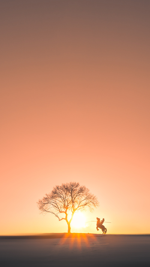 九游网页版官网-意甲：多名年轻球员完成高价转会，未来潜力无限，意甲转会一览2020