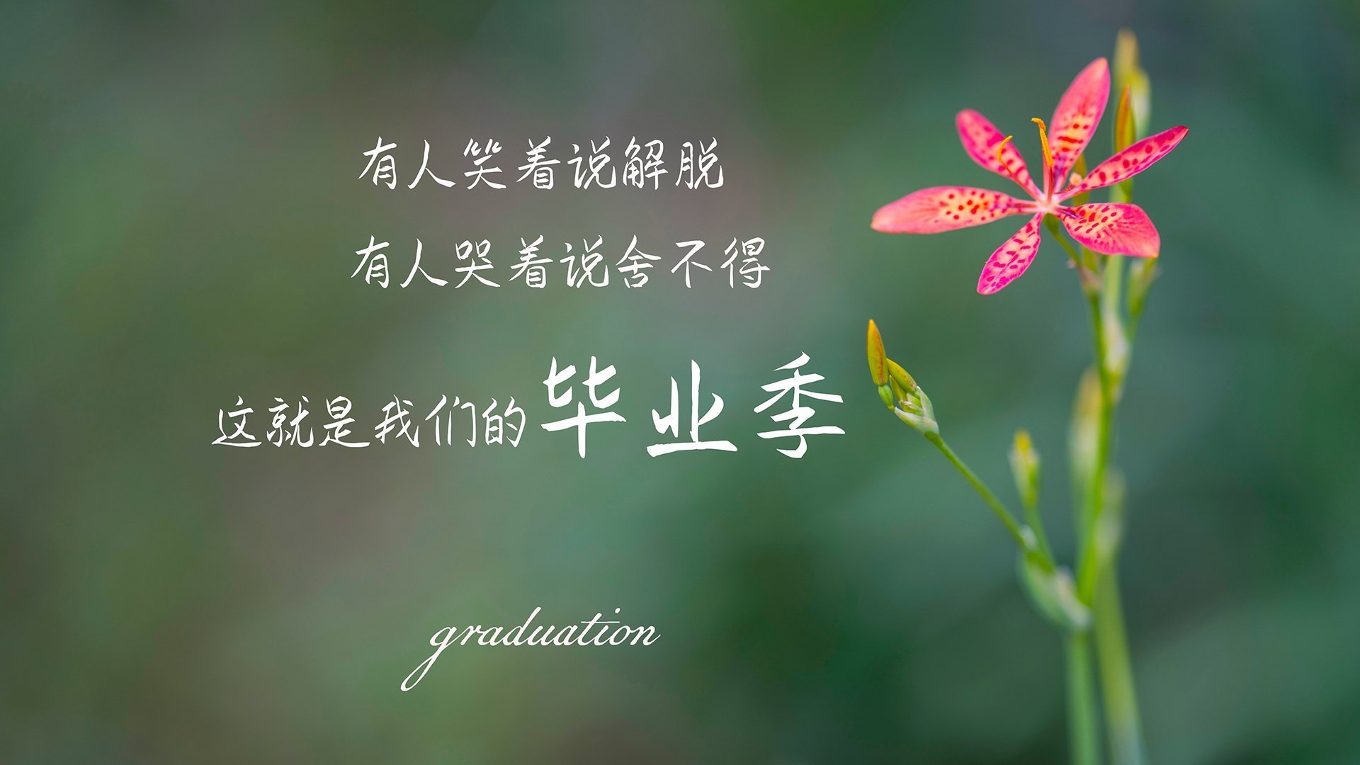 JIUYOU GAMING-支撑绿色生态发展的足球场馆建设逐步成为行业共识，足球场建设方案