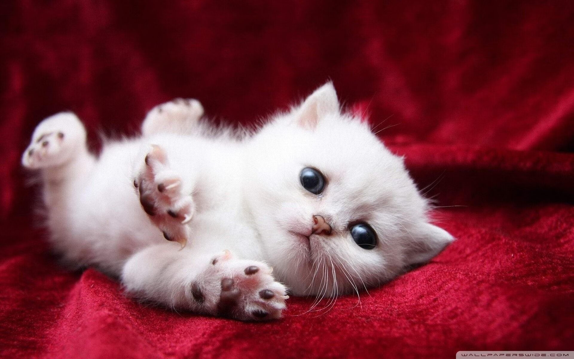 九游(jiuyou)官方网站-EDG完成赛季体能与技术综合评估，edg体系