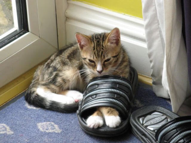 九游9游-右边锋身手不凡！球员纪录片发布，球迷直呼过瘾，右边路球员