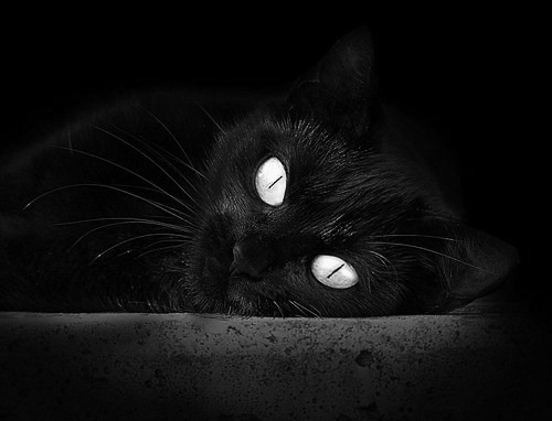 官方拳击规则重大调整,拳击运动比赛规则