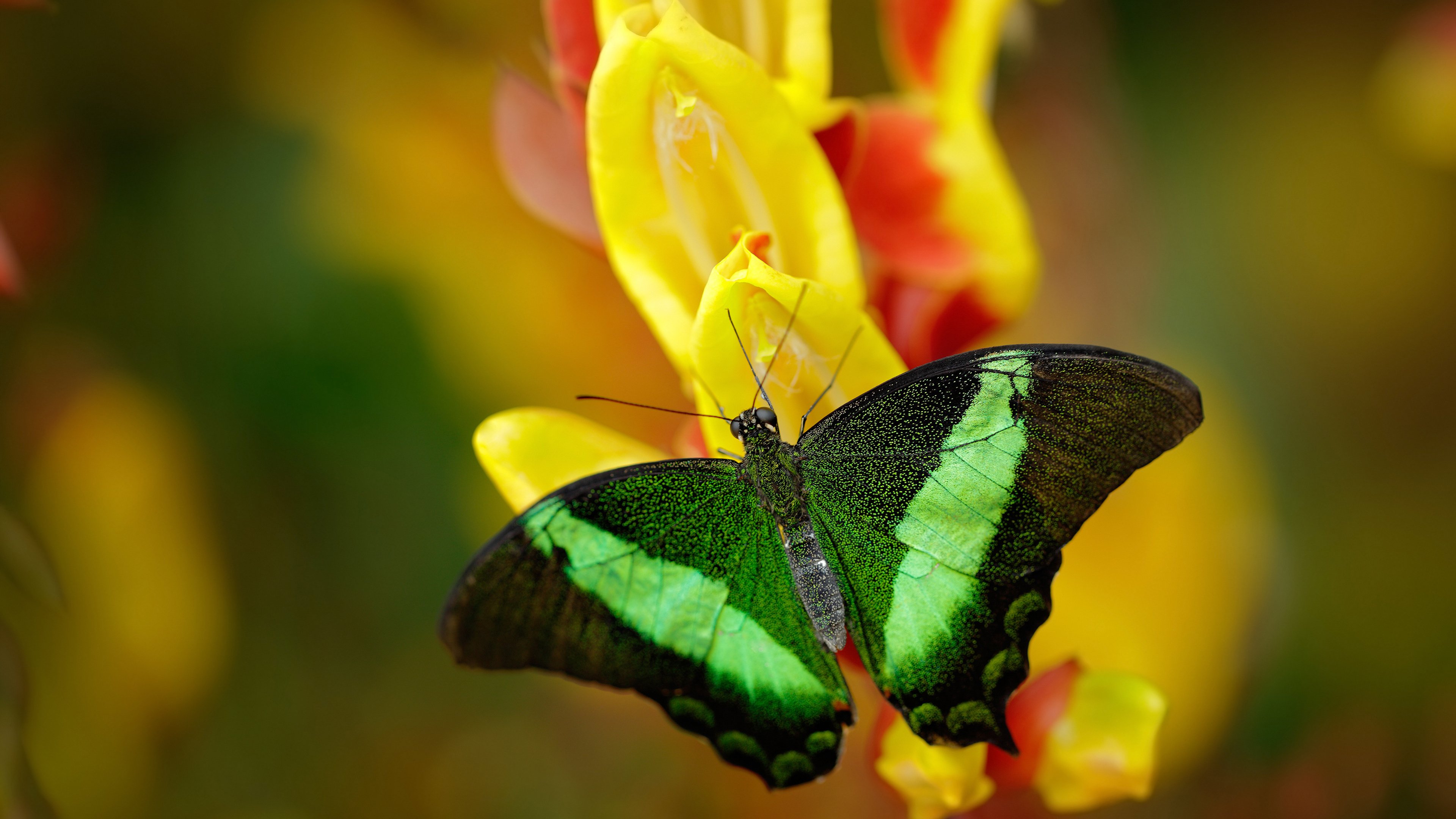 九游官网主页-腾讯电竞赛事体系强化跨界合作，腾讯进军电竞