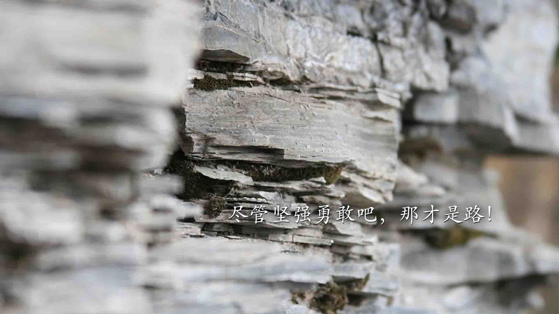 西班牙反曲弓女队在欧洲锦标赛四分之一决赛中负于中国队，竞技反曲弓世界排名