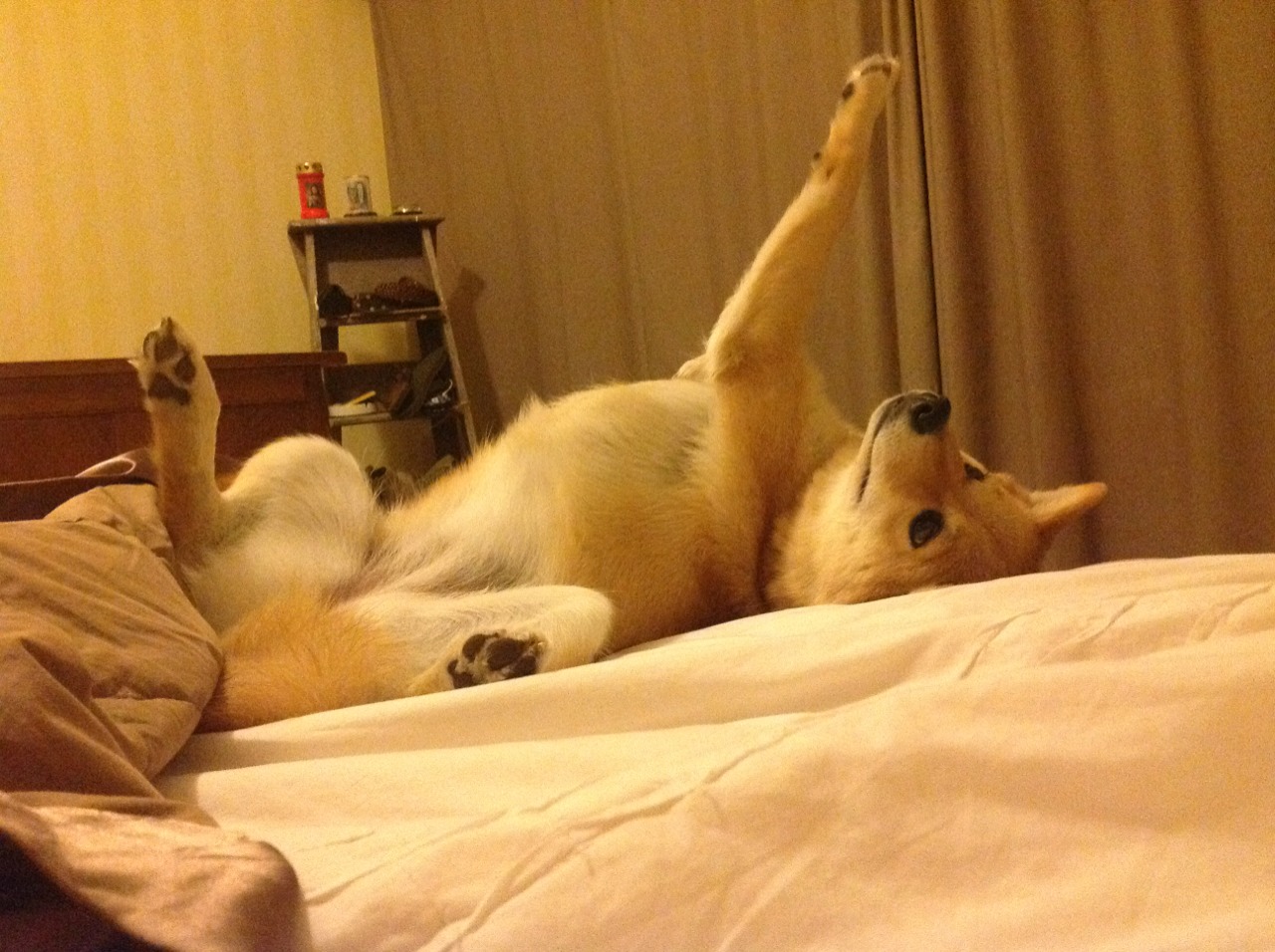 青岛男篮球员训练状态保持良好，青岛男篮领队及队员