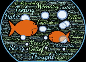 九游jiuyou-法甲实际战术板使用率与胜率关系初步调查，法国套战术板