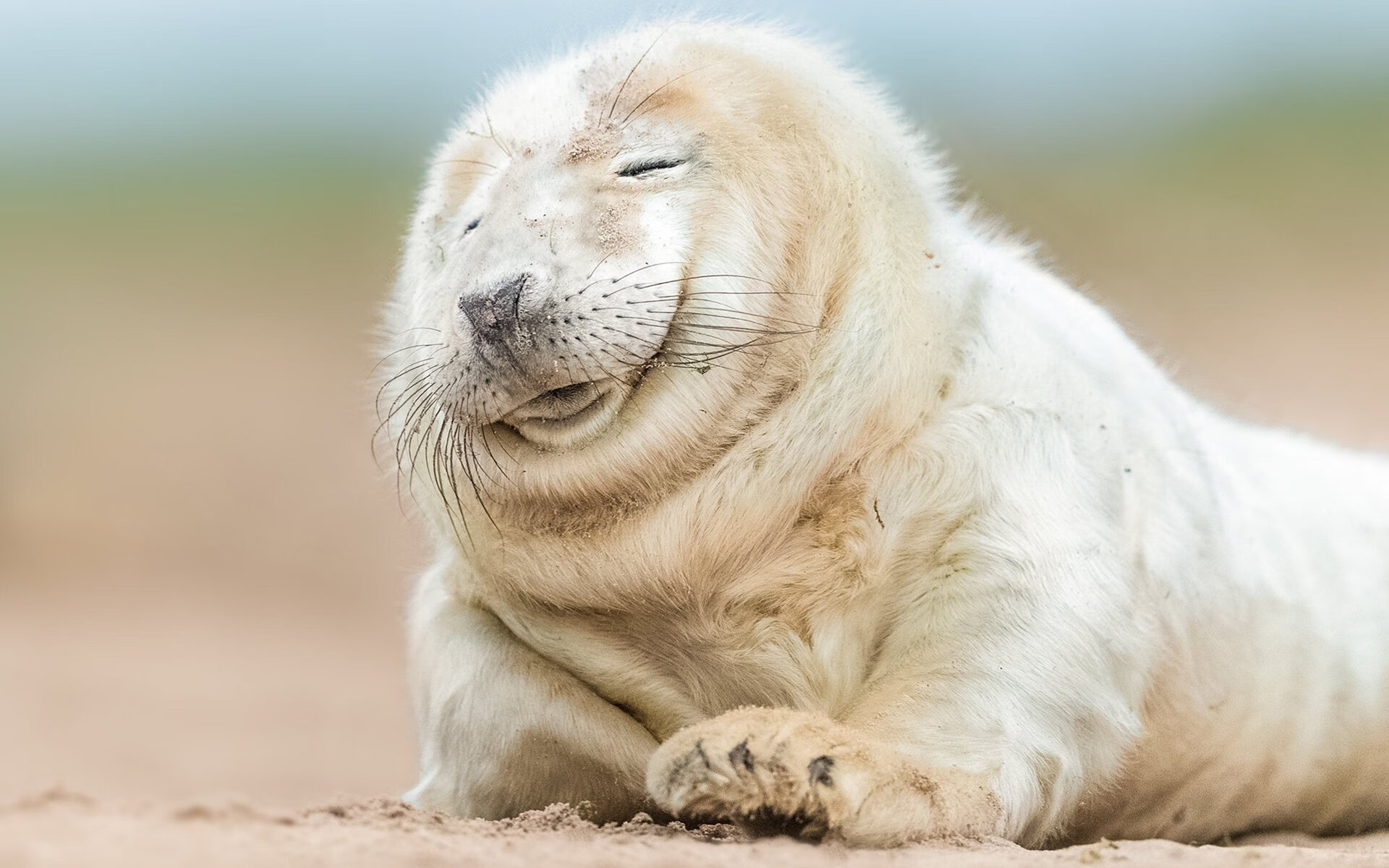 -CBA球队推动数据主导的技战术调整，cba数据软件