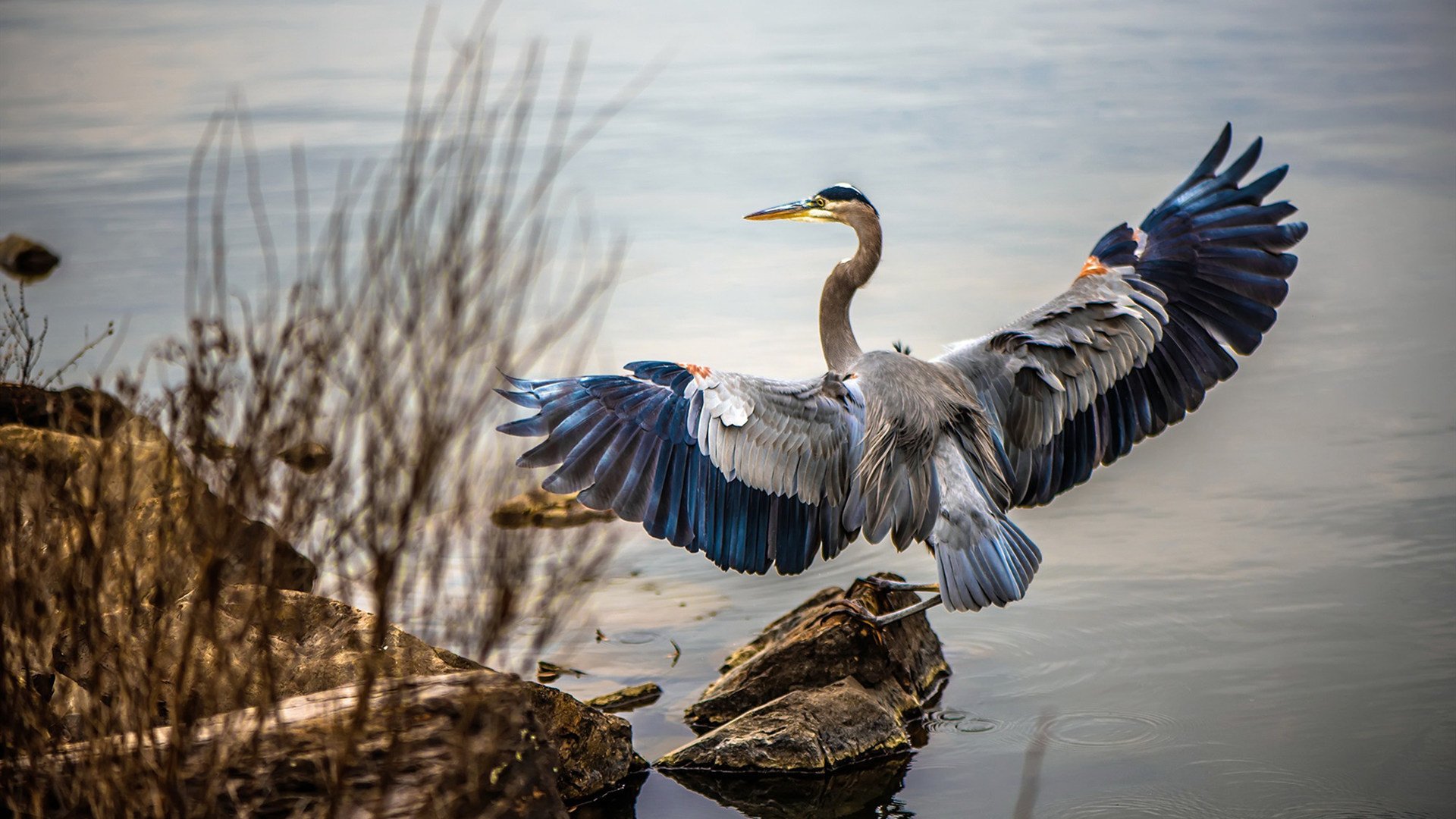 九游娱乐(jiuyou)官网-中国女篮全员健康备战 亚运目标直指冠军，中国女篮亚运会成绩