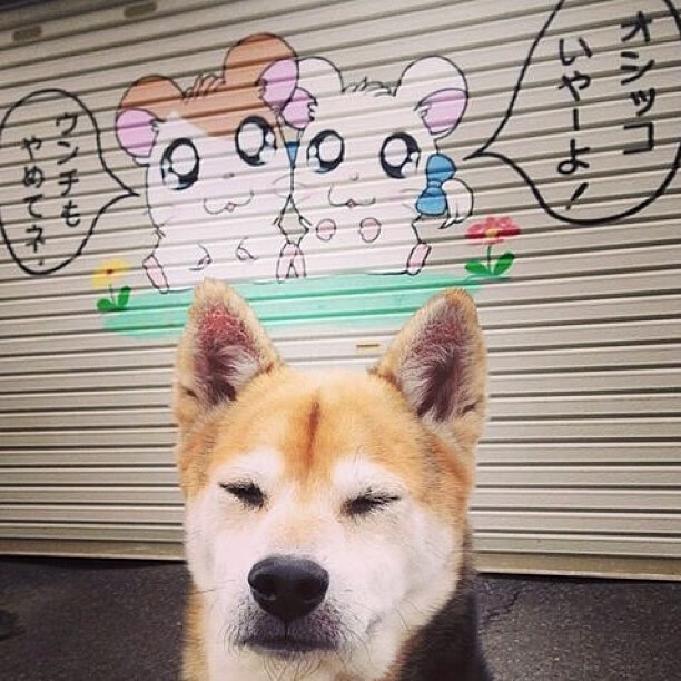 体育新闻中心构建体育媒体数字资产管理体系,体育产业新闻