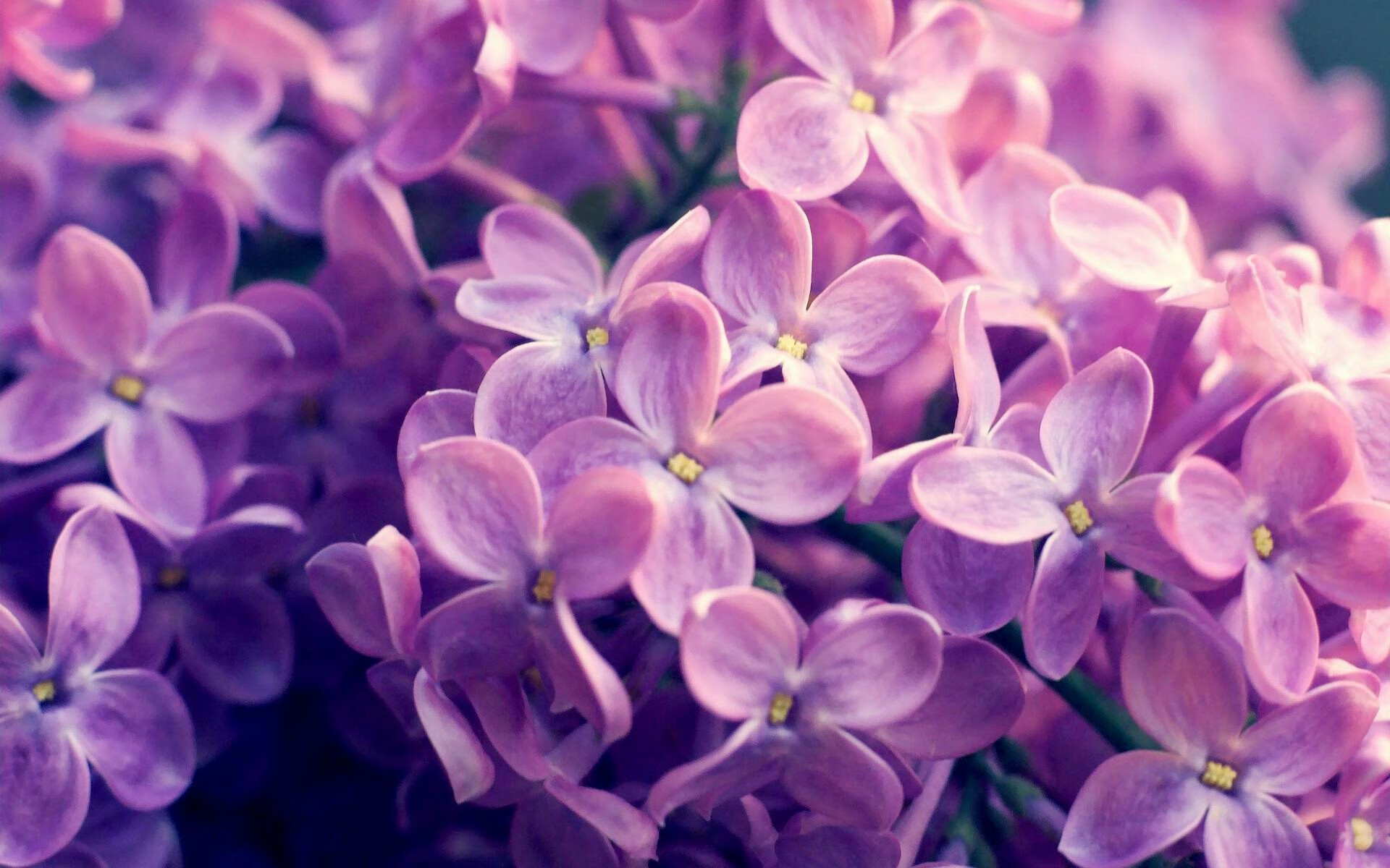 巴萨围绕控球组织打出流畅节奏，巴萨控球率最高的比赛