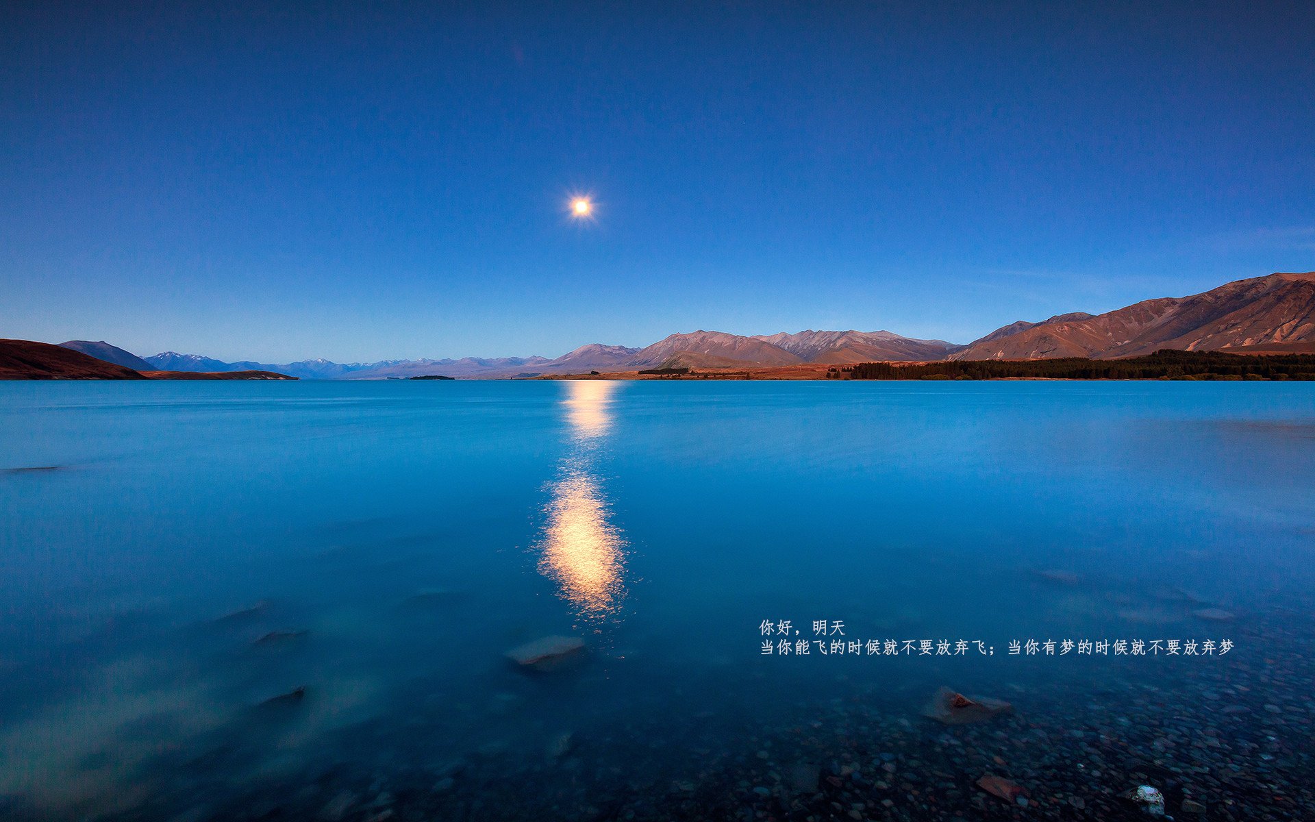 男子篮球培训注重快速反应与决策能力培养，男孩篮球训练