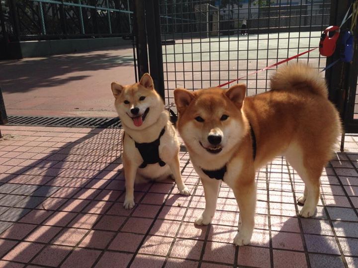 跳水高难动作吉尔吉斯斯坦稳中求胜,地处中亚的吉尔吉斯斯坦有水塔之国