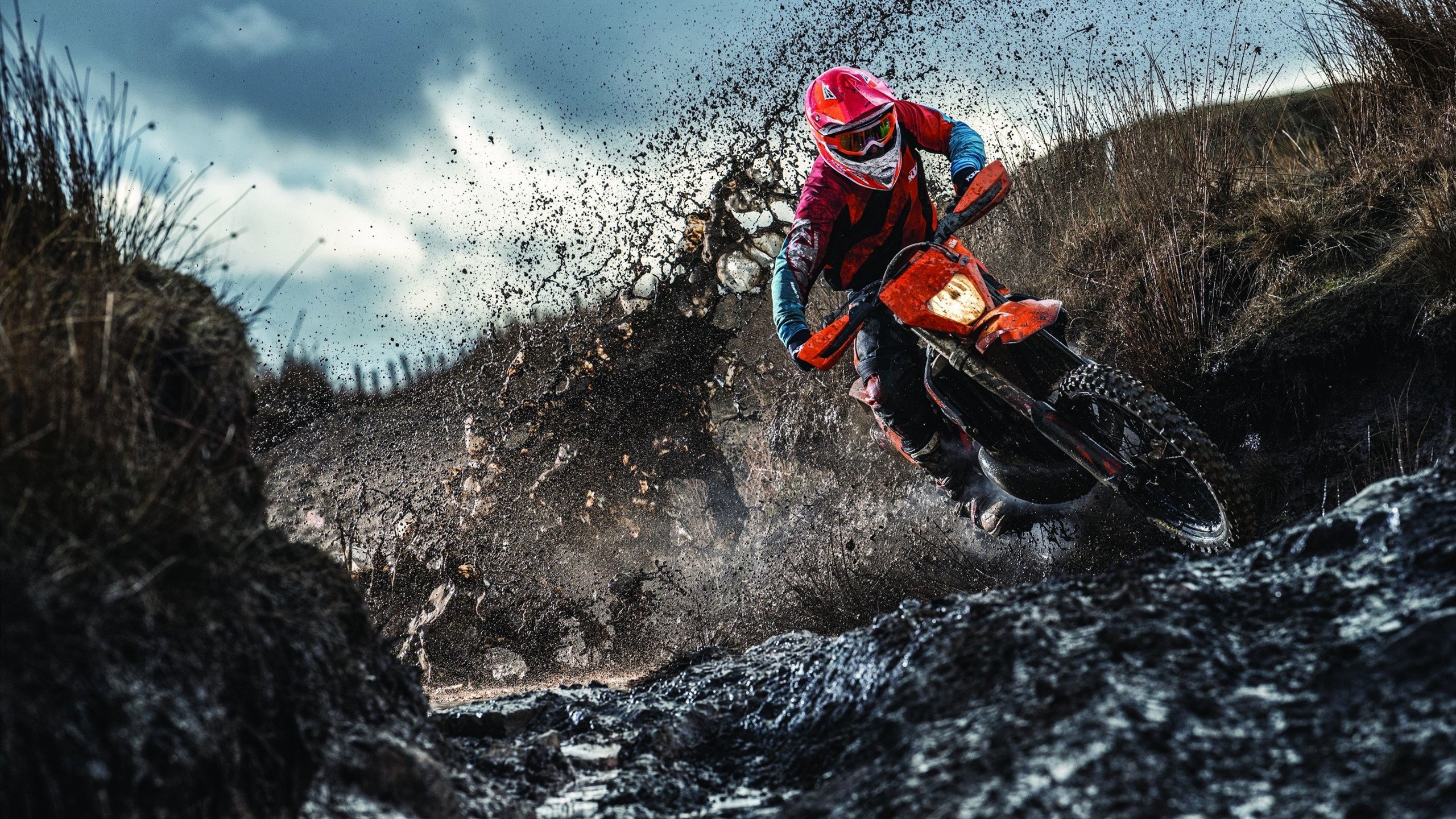 足球与平等：推动多元文化共存战略，足球带来的和平